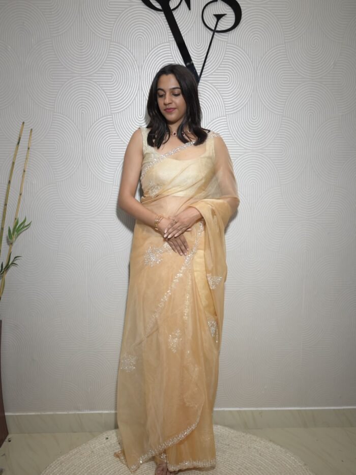 SIMPLE ORGANZA HANDWORK SAREE