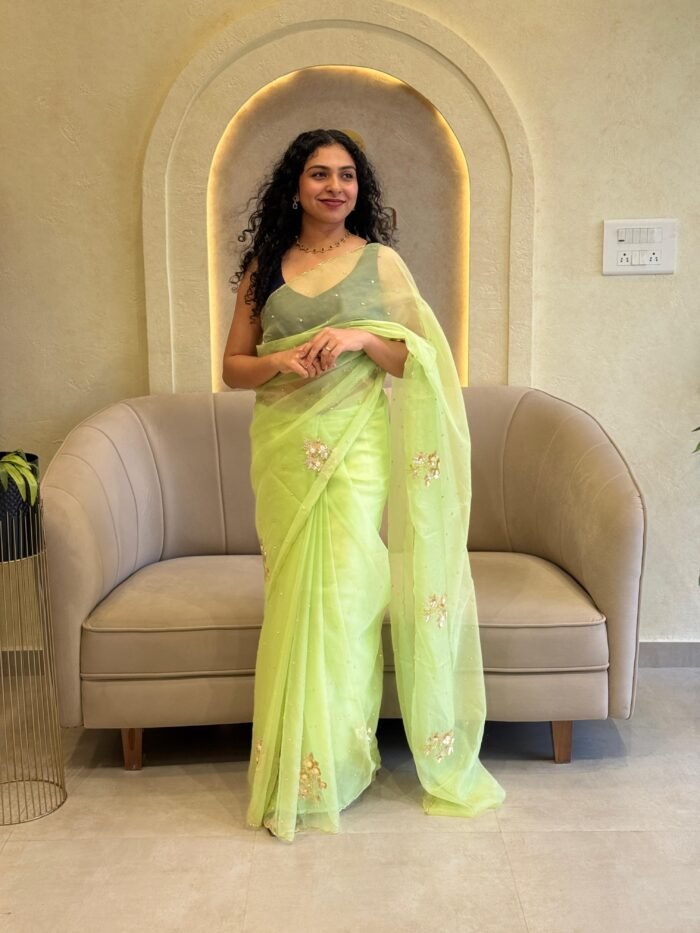 SIMPLE STONE WORKED ORGANZA PARTYWEAR SAREE