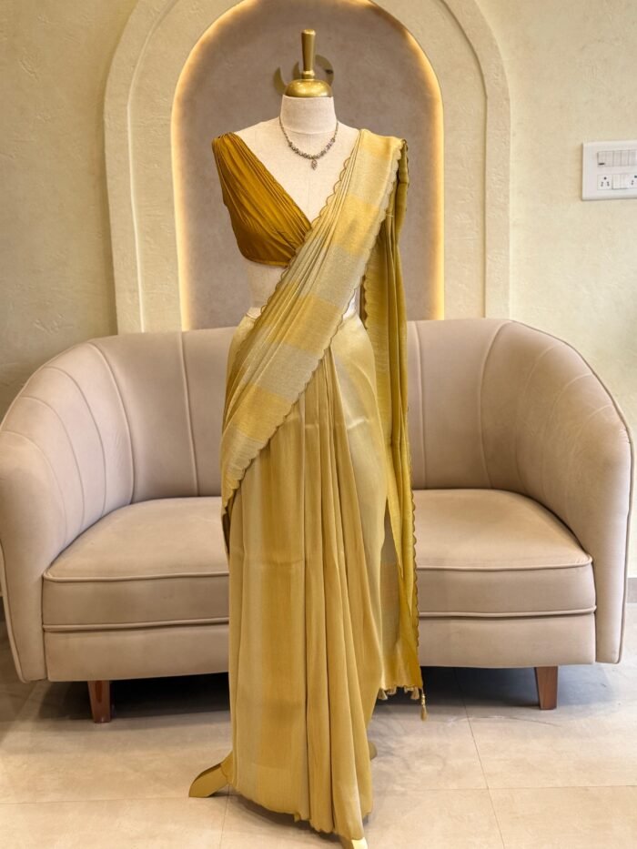 Raina tissue silk saree