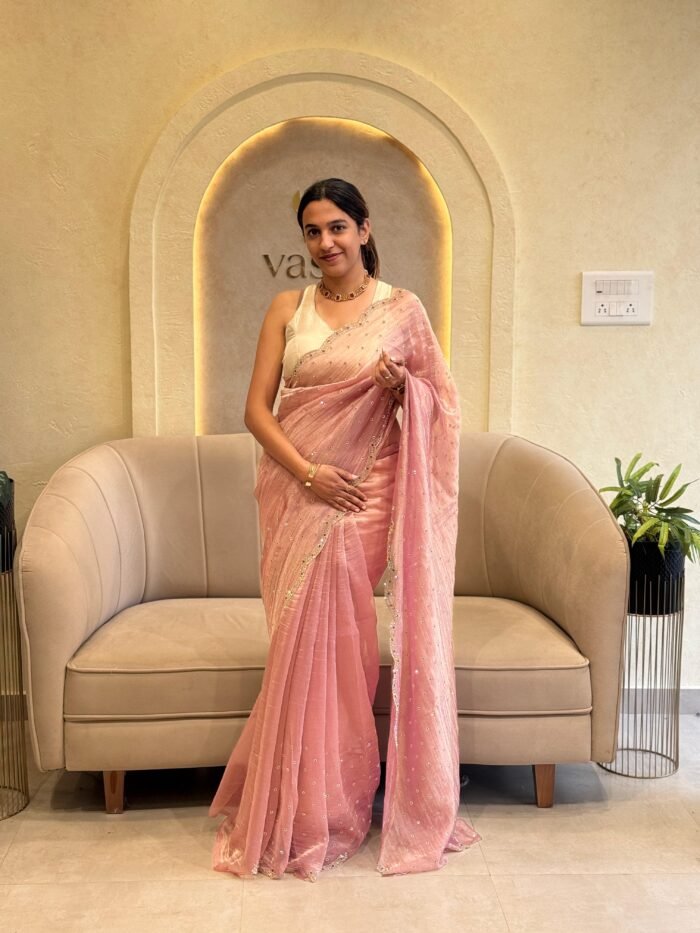 Viscose organza Saree