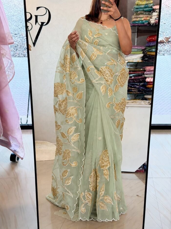 Organza saree