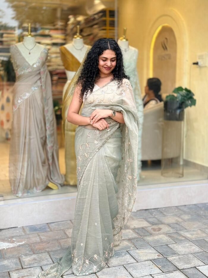 Salsa Partywear Organza Saree