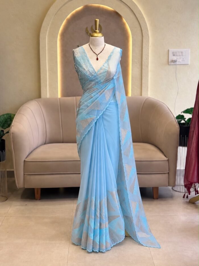 Organza appliqué saree
